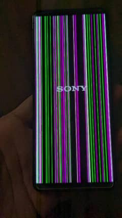 Sony