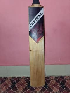 cricket