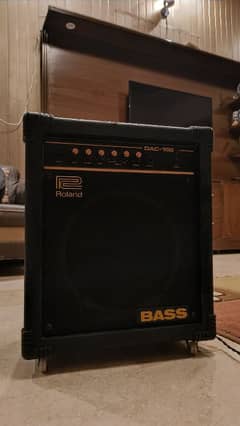 Original Roland Bass Amp DAC-15B