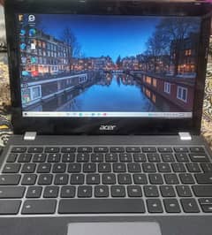 Acer