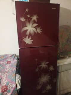 orient freezer