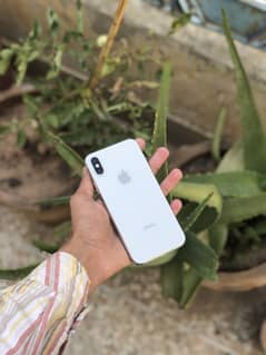 iPhone X non pta all ok