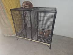 Cage ha akela bht mazboot