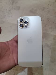 12 pro max