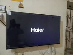 Haier LED 43 inch condition 10 by 10 voice remote Google TV