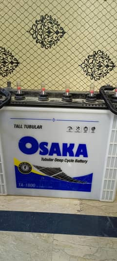 Osaka Tall Tabular Battery for sale