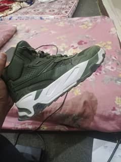 PUMA