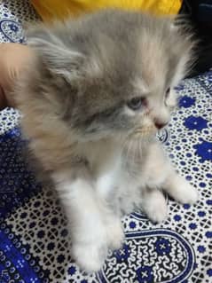 my kid