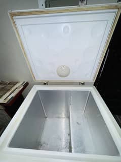 Freezer single door