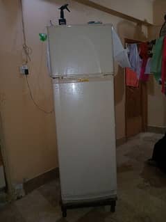 dwalance fridge