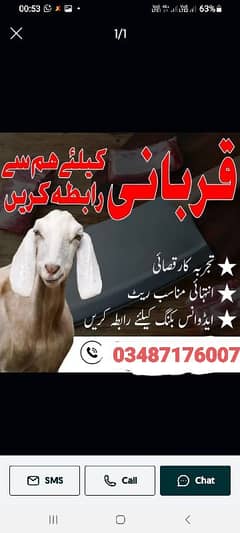 profesional Qisab available Goat Bakra Dumba