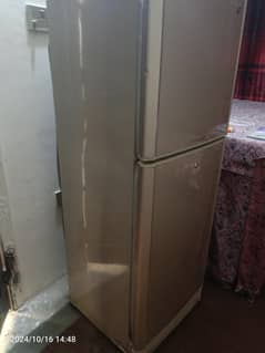 PEL FRIDGE