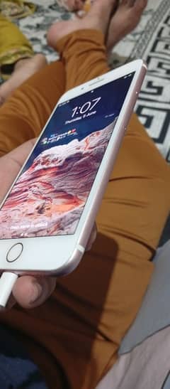 iPhone 7 plus PTA approved