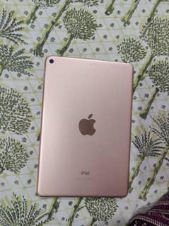 IPad mini 5