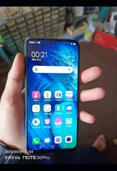 vivo