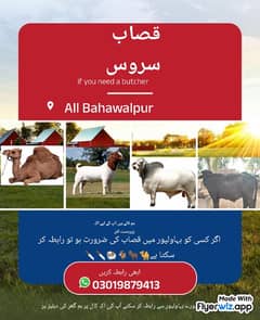 قصاب سروس