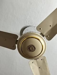 Beta celling Fan