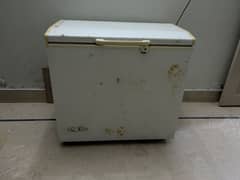 Dawlance Freezer