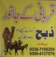 qasai