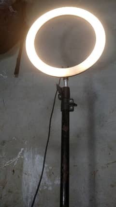 Wall