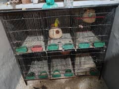cage