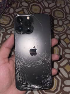 Apple iPhone 13 Pro Max