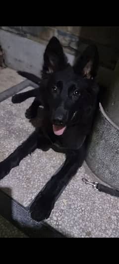 jet