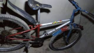 Speed Cycle