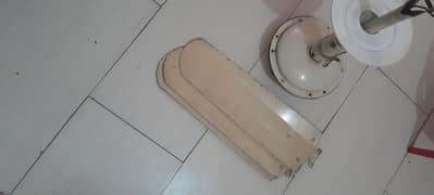 ceiling fan for sale in A1 condition