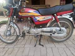 Cd 70 2024/2025