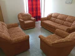 7 seater VIP condition