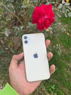 iPhone 11 Jv 64gb