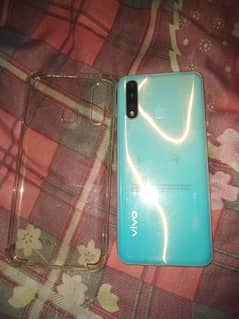 VIVO
