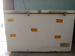 Deep freezer For sale BWP