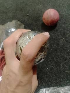 Cricket