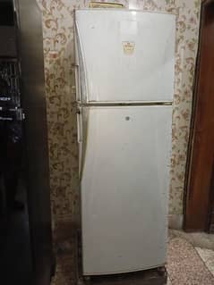 Fridge Dawlance medium size