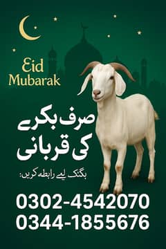 Qurbani