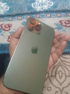 13 pro max