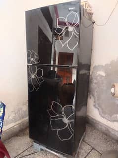 Orient Glass Door Refrigerator