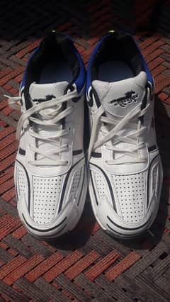 cricket shoes for sale high quality tips