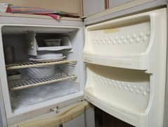 PEL Fridge for Sale