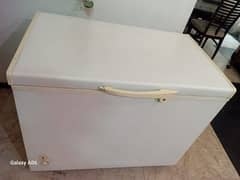 Waves Deep Freezer Single Door