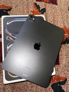IPAD PRO M4 CHIP 11 INCH 256 GB COMPLETE BOX 100 BATTERY HEALTH