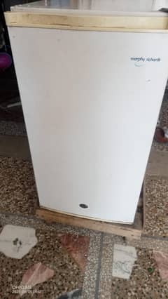 room fridge