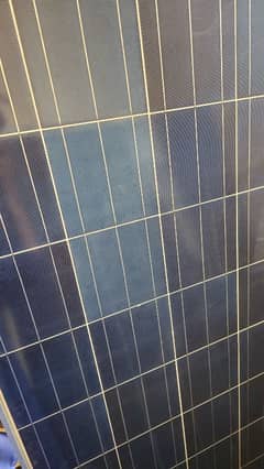 solar panel 250w /4 panels