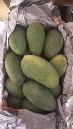 Sindhri Mango Petti 10 to 10.5 available