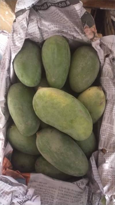 Sindhri Mango Petti 10 to 10.5 available