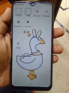 vivo