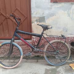 black cycle