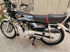 Honda 125 24/25